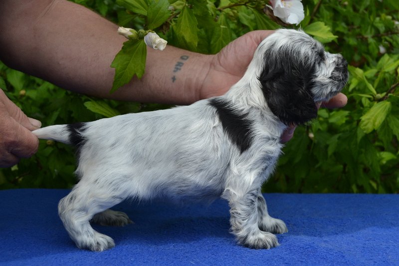 13-žlutá – kopie.JPG